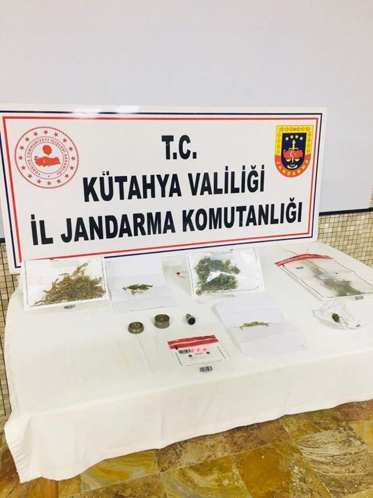 Kütahya’da 1233 kök Hint keneviri ele geçirildi G2