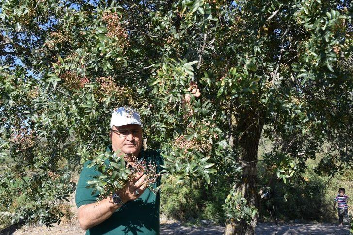 Başkan Çerçi Yuntdağın’da 4 mahalleyi ziyaret etti G4