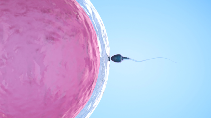 Tüp bebek mi yoksa aşılama mı?