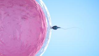 Tüp bebek mi yoksa aşılama mı?