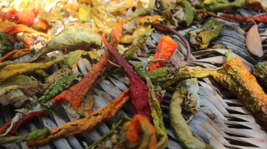 Yüzlerce yıldır süren gelenek! 'Tıkıratma Biber' nasıl hazırlanıyor, adını nereden alıyor?