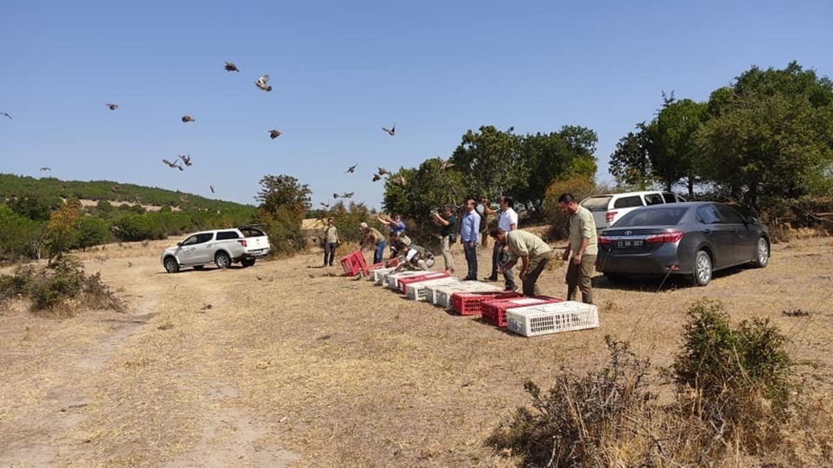 Edirne&rsquo;de belgesiz ve usuls&uuml;z avcılığa izin verilmiyor