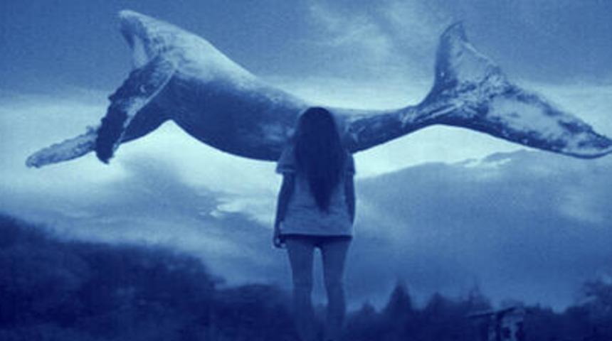 İran'da 'Mavi Balina' oyunu 3 can aldı