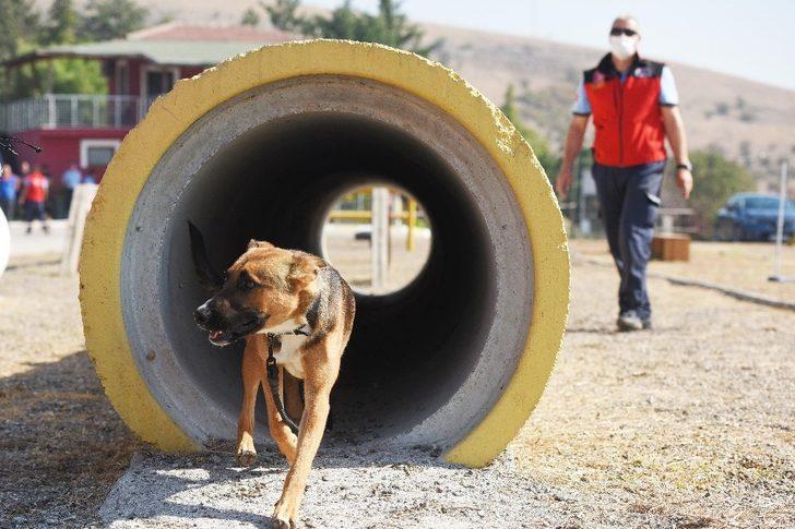 Türkiye’yi bu ekip kurtaracak G3