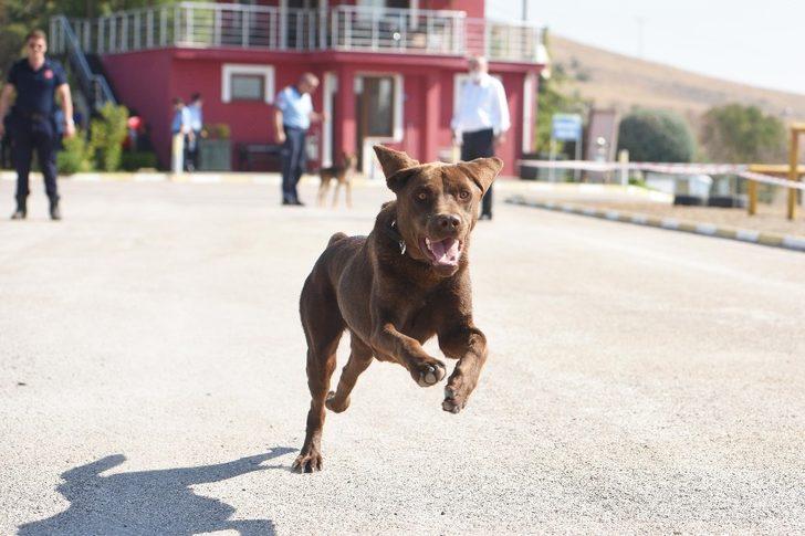 Türkiye’yi bu ekip kurtaracak G5
