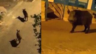 Turizm cennetinde şoke eden görüntü! Korku dolu anlar