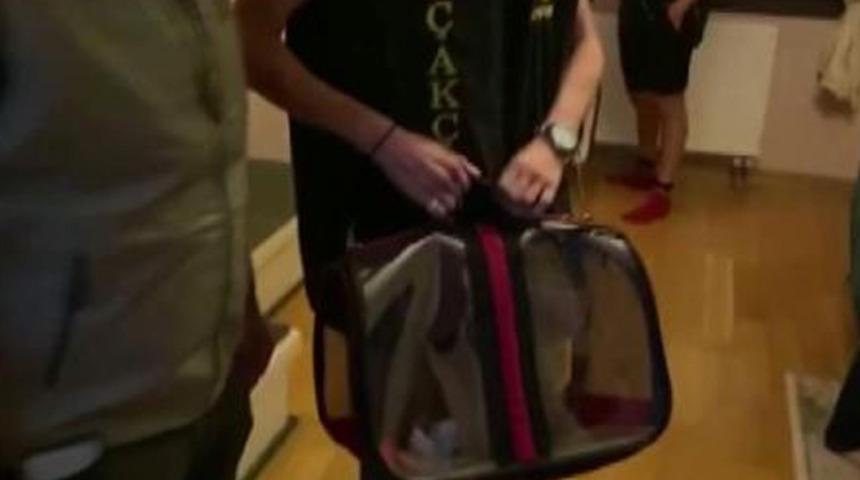 Sosyal medya fenomeni Meriç İzgi'ye operasyon!