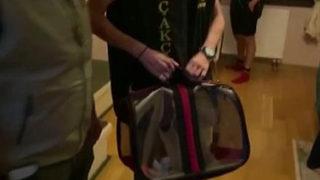 Sosyal medya fenomeni Meriç İzgi'ye operasyon!