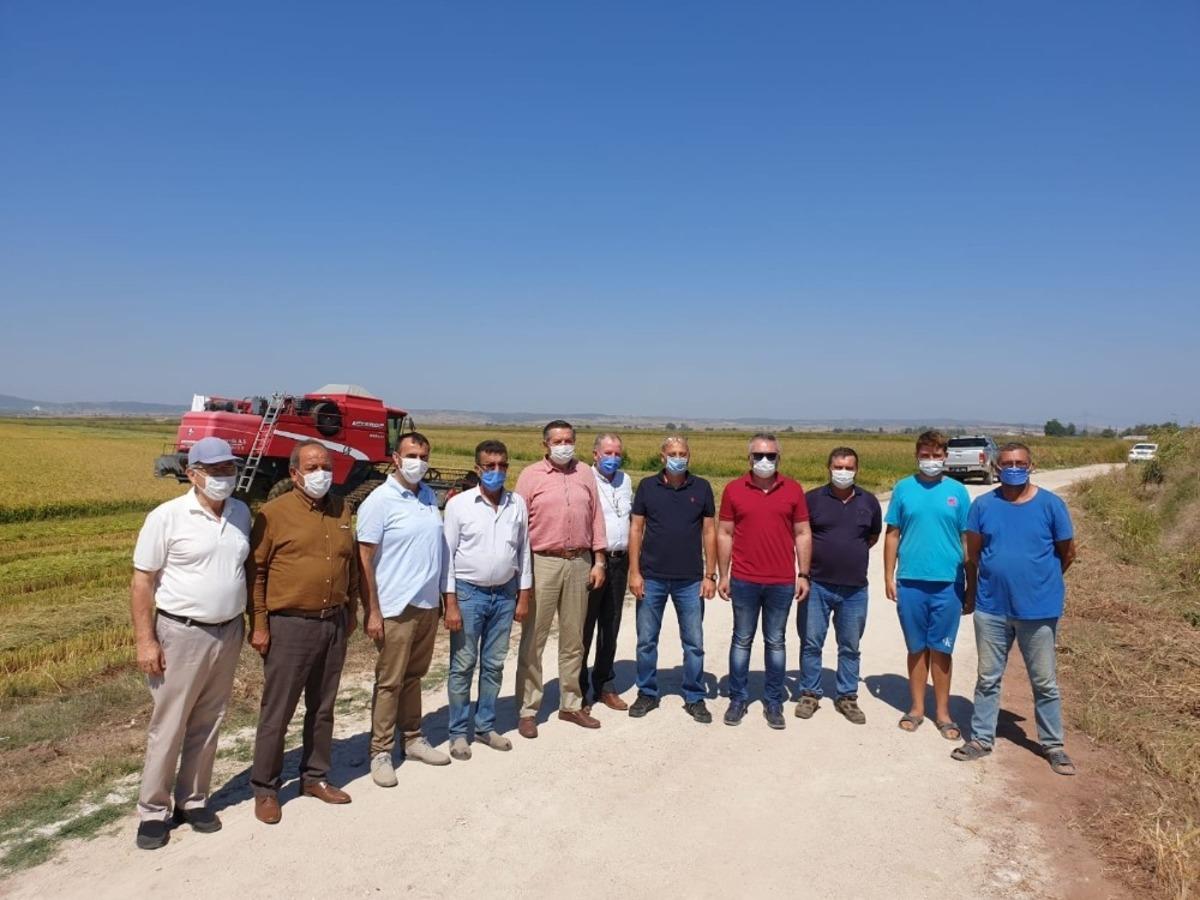 Biga&rsquo;da &ccedil;eltik hasadı yapıldı