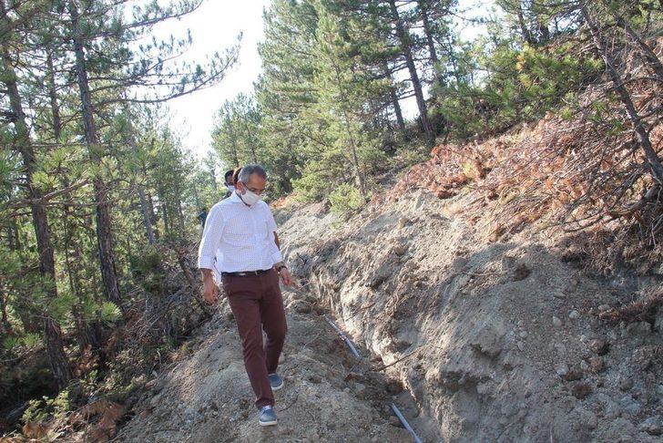 Tosya Kaymakamı çalışmaları denetledi G5