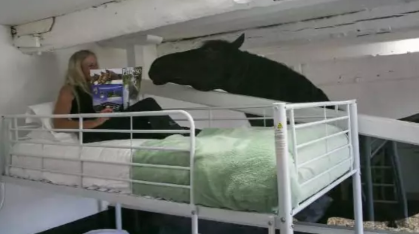 Bu &ccedil;iftlikte misafirler odayı bir atla paylaşıyor