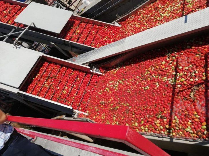 Bergama’da salça fabrikalarına denetim G1