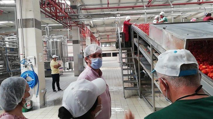 Bergama’da salça fabrikalarına denetim G2