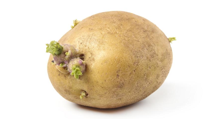 Vücudunuz için zehirli olabilecek 6 gıda