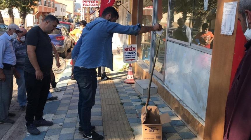 1,5 metre uzunluğundaki yılan görenleri hayrete düşürdü