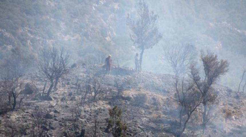 Serik'te orman yangını: 5 hektar alan k&uuml;l oldu