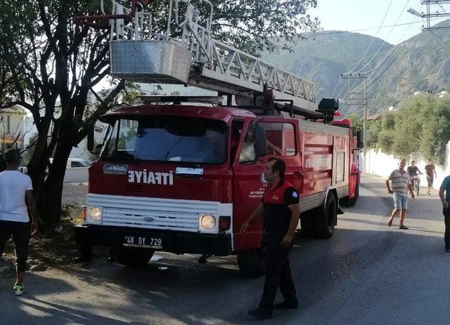 Ocakta unutulan yemek, mutfağı yaktı