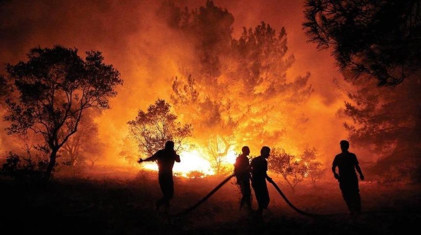 Orman yangınlarıyla ilgili Bakan Pakdemirli'den flaş a&ccedil;ıklama
