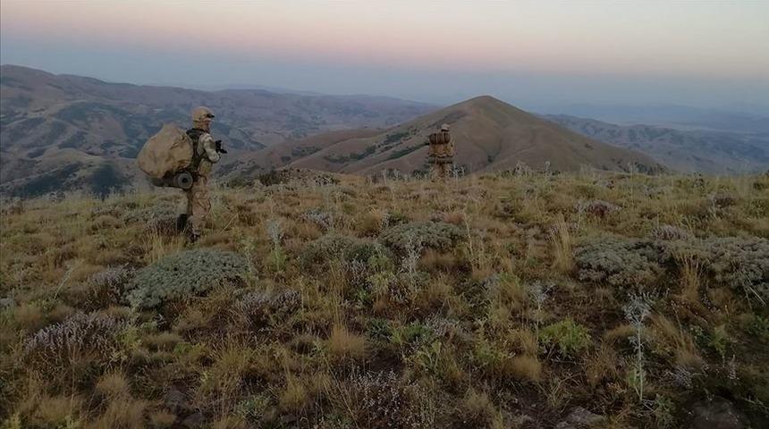 İçişleri Bakanlığı: 14 milyon 169 bin 150 kök kenevir bitkisi ele geçirildi