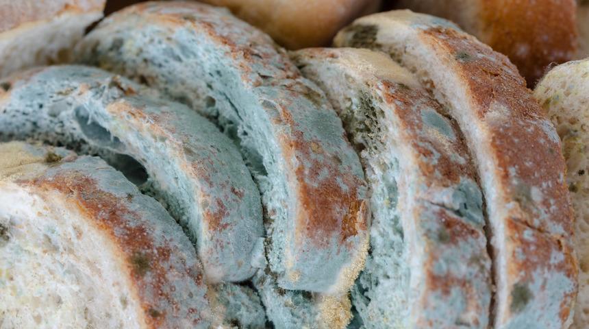 K&uuml;flenmiş bir yiyecek yenir mi? Yanlışlıkla k&uuml;f yerseniz v&uuml;cudunuzda ne olur? 