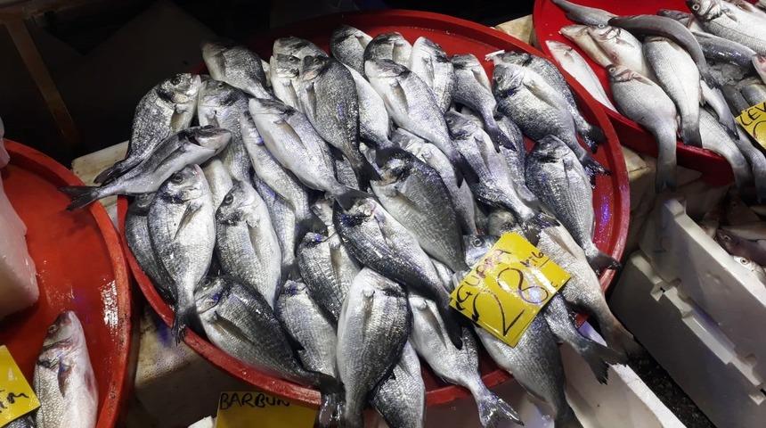 Balık sezonu a&ccedil;ıldı! Fiyatlardaki d&uuml;ş&uuml;ş tatmin etmedi