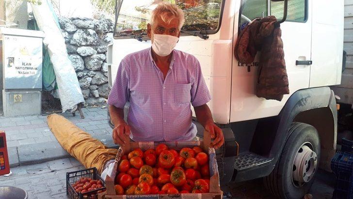 100 yıllık ata tohumu ile yerli domates üretiyor G1