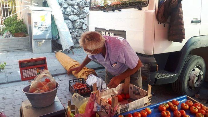 100 yıllık ata tohumu ile yerli domates üretiyor G3