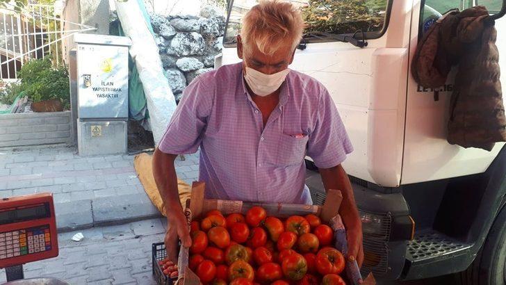 100 yıllık ata tohumu ile yerli domates üretiyor G4