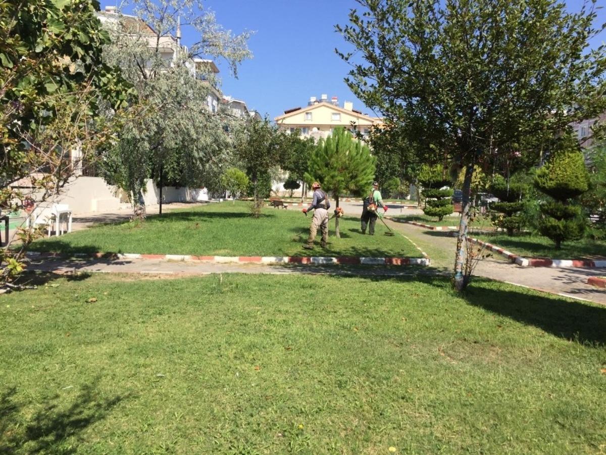 Didim Belediyesi Park Bah&ccedil;eler M&uuml;d&uuml;rl&uuml;ğ&uuml; ekipleri &ccedil;alışmalarını s&uuml;rd&uuml;r&uuml;yor