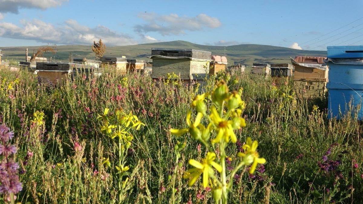 Evliyaoğlu: "Arıcılıkta sonbahar bakımı ve kışlatma &ouml;nemli"