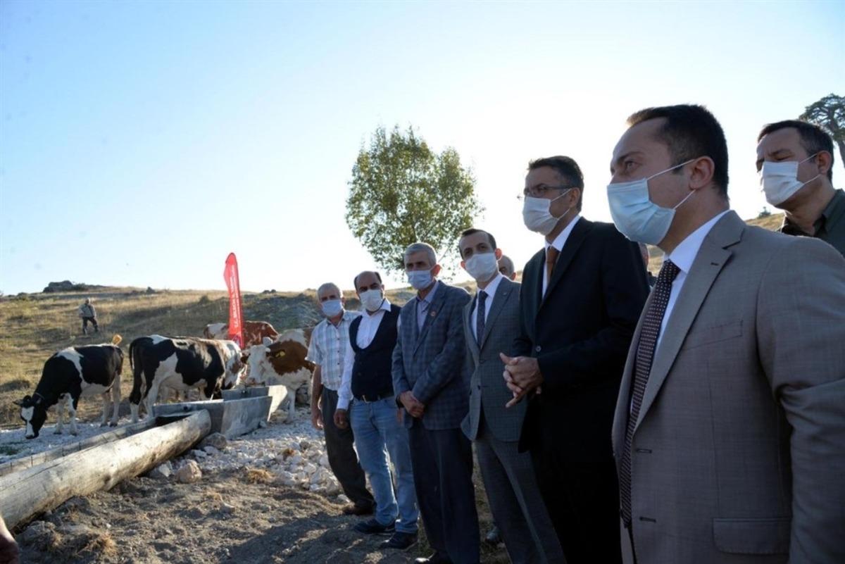 Valiler, "Dombay&ccedil;ayır K&ouml;y&uuml; Mera Islah ve Amenajmanı" projesini yerinde incelemeleri