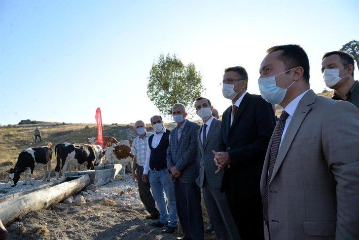 Valiler, "Dombayçayır Köyü Mera Islah ve Amenajmanı" projesini yerinde incelemeleri G1