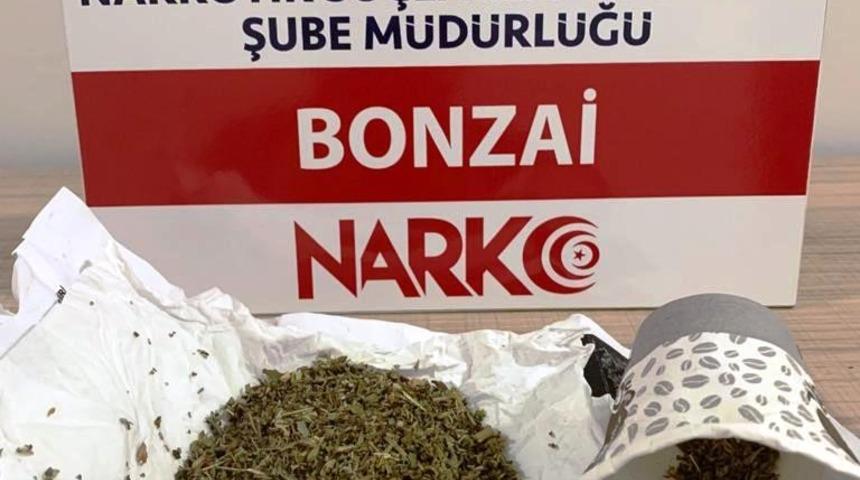 Kütahya’da iki şüpheli şahsın üzerinde bonzai ele geçirildi