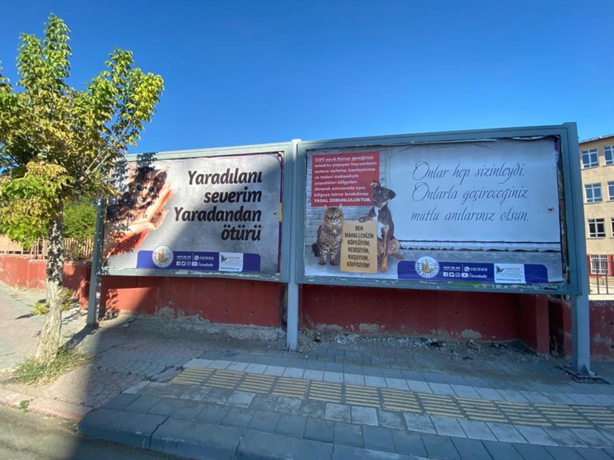 Sivas&rsquo;ta hayvan hakları i&ccedil;in &ccedil;alışma