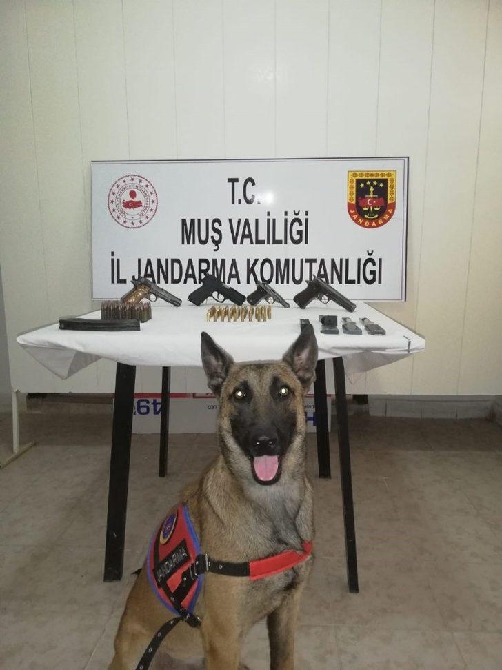 Muş’ta silah ve mühimmat kaçakçılığı: 4 tutuklama G3