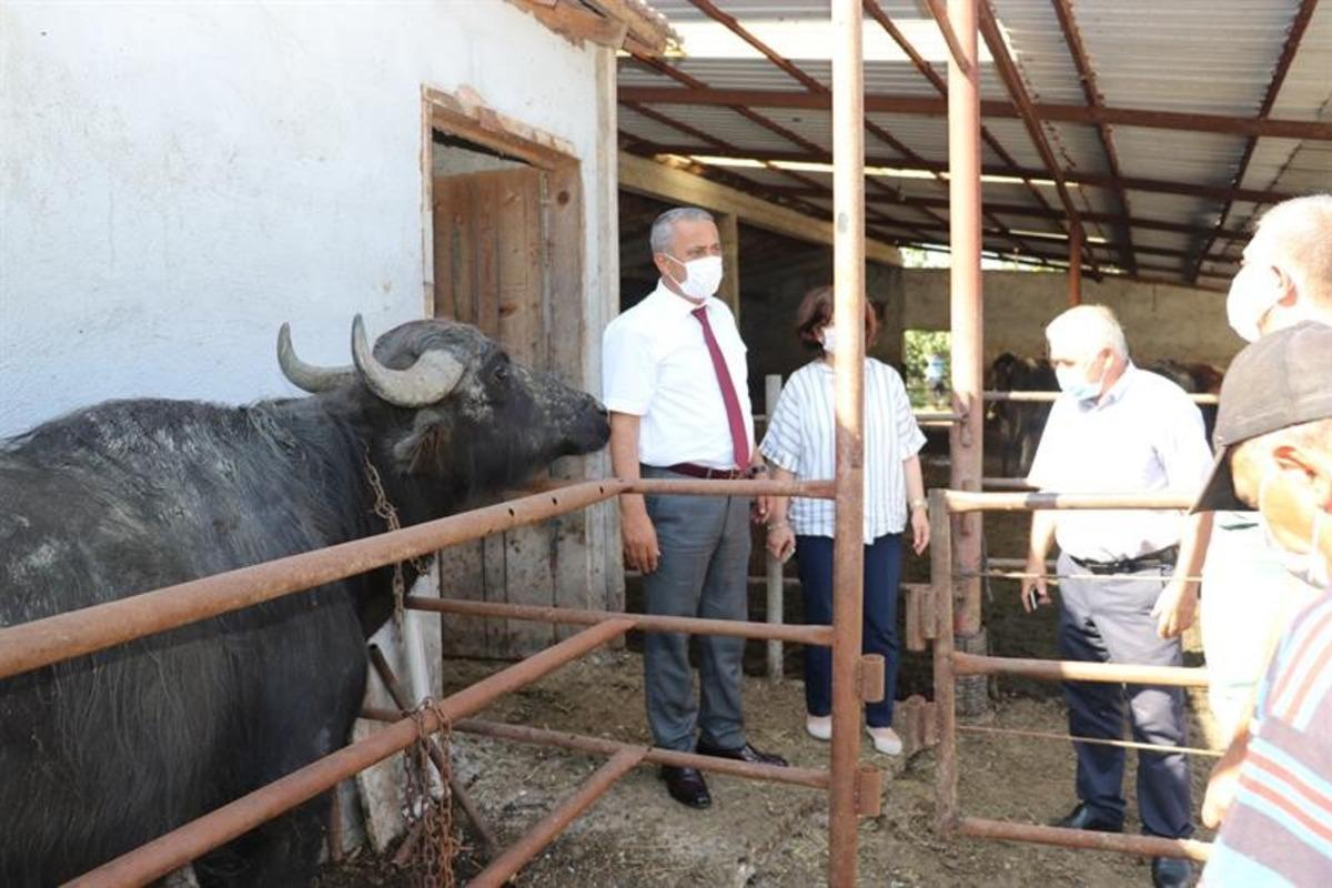Samsun&rsquo;da &ldquo;Mandalarda Suni Tohumlama Projesi&rdquo; başladı