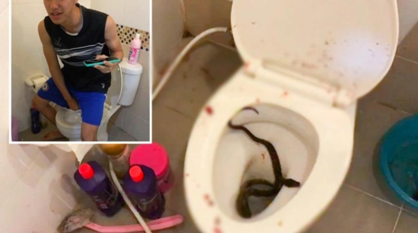 121 cm uzunluğundaki piton gencin penisini ısırdı