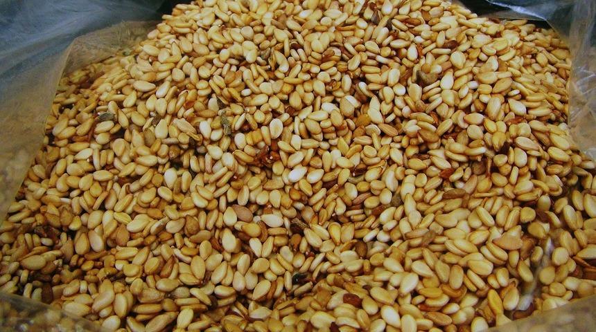 Lezzetinin sırrı Gökova’nın iyotlu rüzgarında