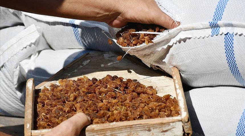  Bakan Pakdemirli duyurdu: Üzüm fiyatlarını 12.5 liranın altına düşürmeyeceğiz