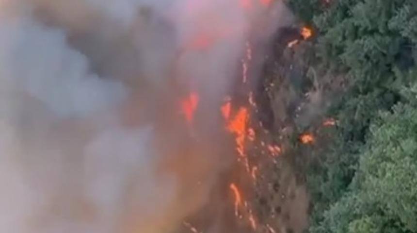 Bursa'da ormanlık alanda b&uuml;y&uuml;k yangın