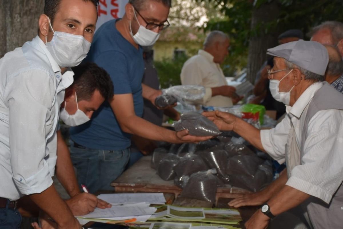 &Uuml;reticilere &uuml;cretsiz tohum dağıtıldı