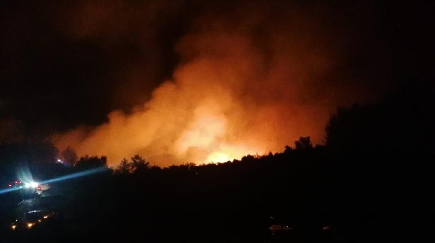 Antalya'da orman yangını! Ekipler alarma ge&ccedil;ti