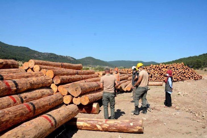 Altıntaş Oysu Orman Emvali Deposu’nda inceleme G2