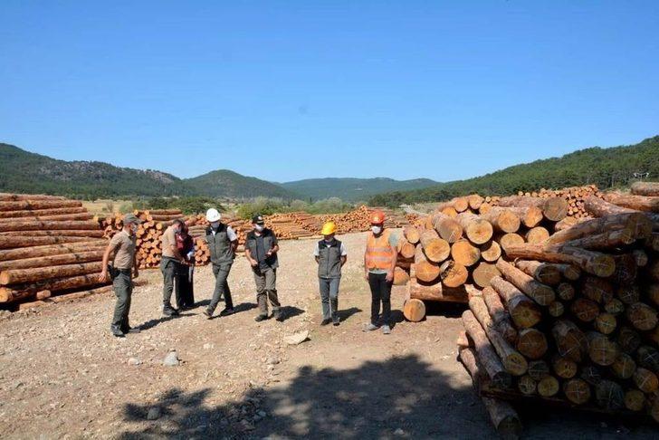 Altıntaş Oysu Orman Emvali Deposu’nda inceleme G3