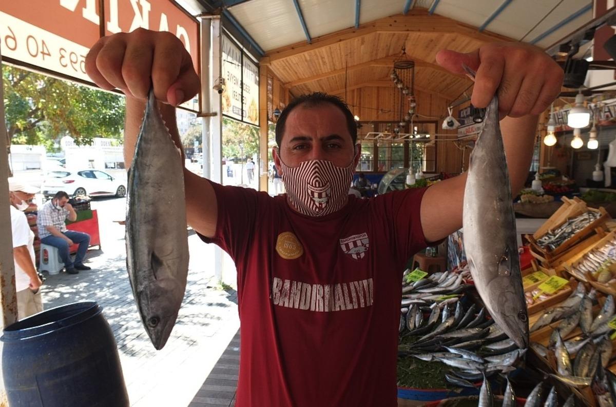 (&Ouml;zel) Denizlerin kralı tezgahların h&uuml;k&uuml;mdarı oldu