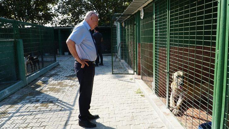 Mustafakemalpaşa hayvan barınağına tam not G3