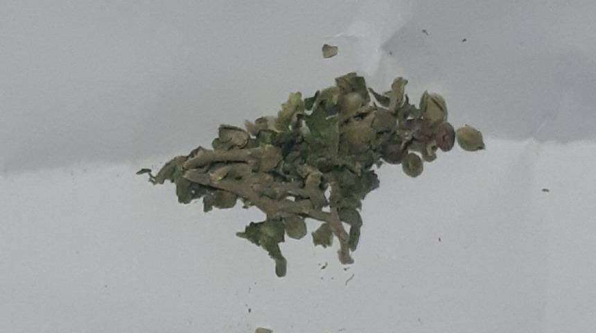 Bing&ouml;l&rsquo;de uyuşturucu ile m&uuml;cadele