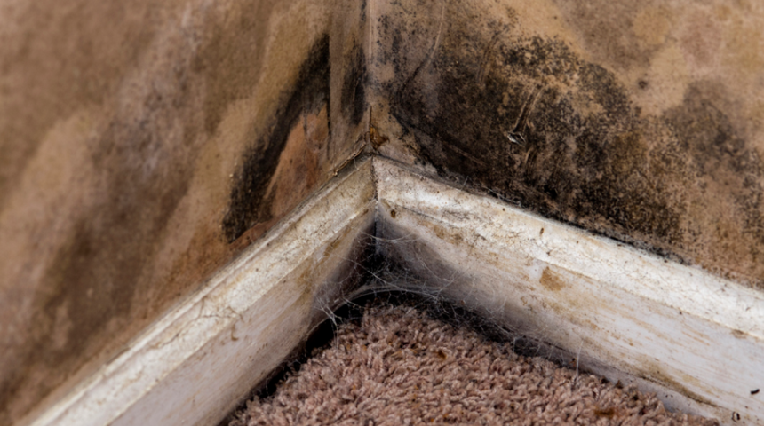 Gizli tehlike! Evdeki k&uuml;f kokusu nasıl &ouml;nlenir?