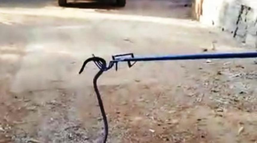 İncir ağacına &ccedil;ıkan yılanı itfaiye indirdi