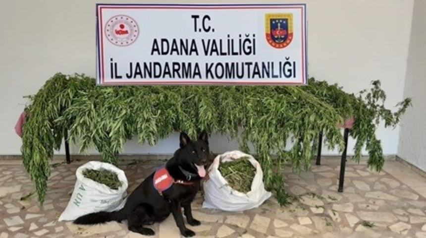 Kozan&rsquo;da uyuşturucu operasyonu